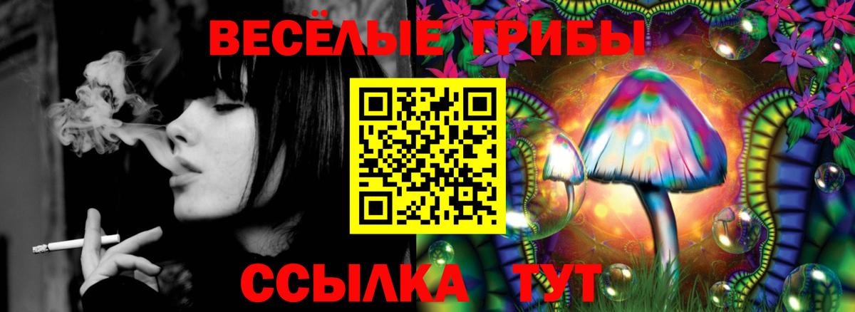Псилоцибиновые грибы Psilocybe Амурск